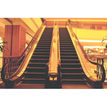 Indoor Escalator with 30 Degree 1000mm Step Width